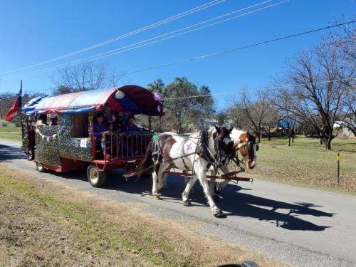 Mardi Gras - Bandera Pioneer RV River Resort